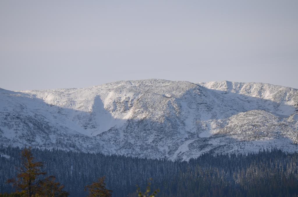 Dom Na Mosornym Groniu Villa Zawoja Buitenkant foto