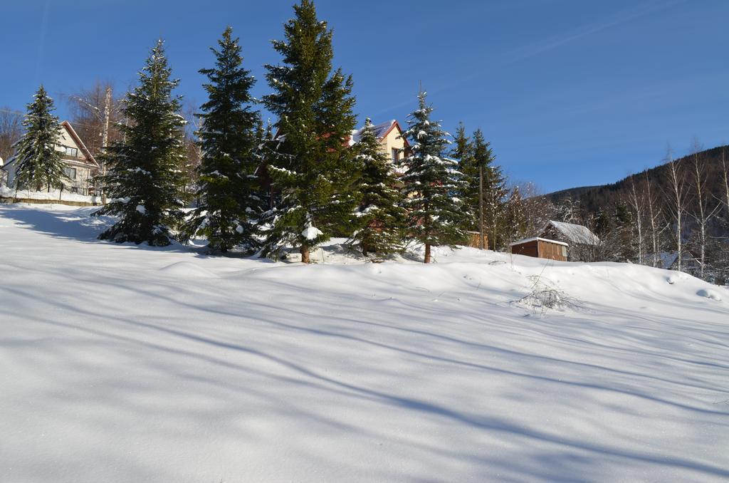 Dom Na Mosornym Groniu Villa Zawoja Buitenkant foto