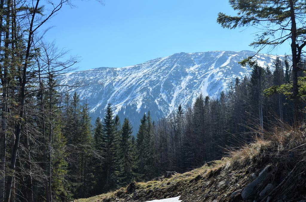 Dom Na Mosornym Groniu Villa Zawoja Buitenkant foto